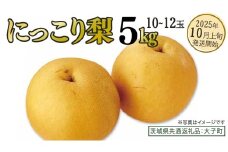 にっこり梨 約5kg (10～12玉)【2025年10月上旬発送開始】(茨城県共通返礼品：大子町) 梨 なし 果物 くだもの フルーツ にっこり