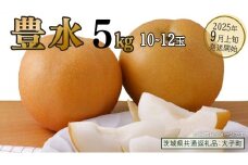 豊水 約5kg (10～12玉)【2025年9月上旬発送開始】(茨城県共通返礼品：大子町) 梨 なし 果物 くだもの フルーツ