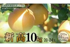 新高 約10kg (20～24玉)【2025年10月上旬発送開始】(茨城県共通返礼品：大子町) 梨 なし 果物 くだもの フルーツ にいたか