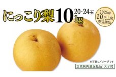 にっこり梨 約10kg (20～24玉)【2025年10月上旬発送開始】(茨城県共通返礼品：大子町) 梨 なし 果物 くだもの フルーツ にっこり