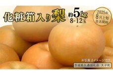 【化粧箱入り】梨 約5kg (8～12玉)【2025年8月上旬発送開始】(茨城県共通返礼品：大子町)