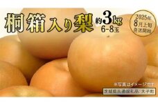 【桐箱入り】梨 約3kg (6～8玉) 【2025年8月上旬発送開始】(茨城県共通返礼品：大子町) なし 果物 くだもの フルーツ おまかせ 旬