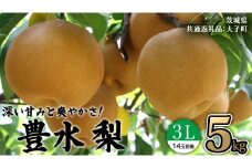 茨城県産 梨 豊水 3L 5kg(14玉前後) (茨城県共通返礼品：大子町) 梨 なし ナシ 果物 くだもの 季節 フルーツ デザート 旬果 
