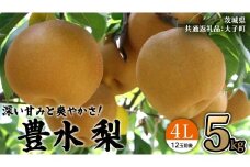 茨城県産 梨 豊水 4L 5kg(12玉前後) (茨城県共通返礼品：大子町) 梨 なし ナシ 果物 くだもの 季節 フルーツ デザート 旬果 