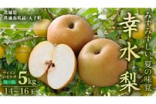 茨城県産 梨 幸水 サイズおまかせ(2L～3L) 5kg(14～16玉)  (茨城県共通返礼品：大子町) 梨 なし ナシ 果物 くだもの 季節 フルーツ デザート 旬果
