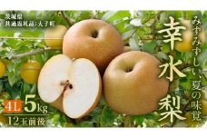 茨城県産 梨 幸水 4L 5kg ( 12玉 前後) (茨城県共通返礼品：大子町) 梨 なし ナシ 果物 くだもの 季節 フルーツ デザート 旬果