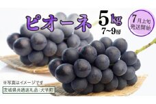 ピオーネ 5kg ( 7～9房 )【2025年7月上旬発送開始】(茨城県共通返礼品：大子町) ブドウ ぶどう 葡萄 ピオーネ 果物 フルーツ 果実