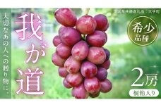 【桐箱入り】 我が道 ２房 【2025年9月上旬発送開始】(茨城県共通返礼品：大子町) シャインマスカット ウインク 葡萄 ブドウ ぶどう 果物 フルーツ 希少 新品種 贈答用 贈り物 ギフト プレゼント