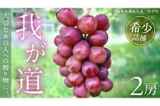 我が道 ２房【2025年9月上旬発送開始】(茨城県共通返礼品：大子町) シャインマスカット ウインク 葡萄 ブドウ ぶどう 果物 フルーツ 希少 新品種