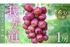 我が道 １房【2025年9月上旬発送開始】(茨城県共通返礼品：大子町) シャインマスカット ウインク 葡萄 ブドウ ぶどう 果物 フルーツ 希少 新品種 贈答用 贈り物 ギフト プレゼント