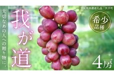 我が道 ４房【2025年9月上旬発送開始】(茨城県共通返礼品：大子町) シャインマスカット ウインク 葡萄 ブドウ ぶどう 果物 フルーツ 希少 新品種