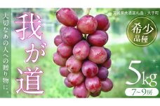 我が道 5kg (7～9房) 【2025年9月上旬発送開始】(茨城県共通返礼品：大子町) シャインマスカット ウインク 葡萄 ブドウ ぶどう 果物 フルーツ 希少 新品種