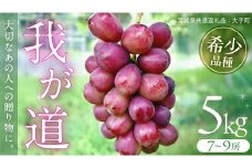 我が道 5kg (7～9房) 【2025年9月上旬発送開始】(茨城県共通返礼品：大子町) シャインマスカット ウインク 葡萄 ブドウ ぶどう 果物 フルーツ 希少 新品種