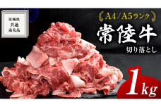 【2025年9月発送】【 常陸牛 】 切り落とし 1kg ( 500g × 2パック ) 牛肉 国産 牛 肉 切り落とし肉 切落し 小分け お肉 A4 A5 ブランド牛 黒毛和牛 和牛 国産黒毛和牛 国産牛 すき焼き すきやき ( 茨城県共通返礼品 ) 小分け
