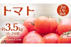 トマト 約3.5kg (16～24個)【2026年3月上旬発送開始】(茨城県共通返礼品：大子町) とまと 野菜 やさい