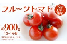 フルーツトマト 約900g (13～16個)【2026年3月上旬発送開始】(茨城県共通返礼品：大子町) トマト とまと 野菜 やさい