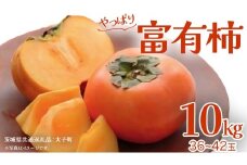 富有柿 約10kg (36～42玉)【2025年11月上旬発送開始】(茨城県共通返礼品：大子町) 柿 かき フルーツ 果物 秋の味覚 旬
