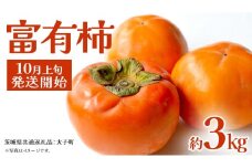 富有柿 約3kg 【2025年10月上旬発送開始】(茨城県共通返礼品：大子町) 柿 カキ かき 果物 フルーツ 旬 季節限定 期間限定