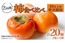 柿 食べ比べ 2品種×10個【2025年10月上旬発送開始】(茨城県共通返礼品：大子町) 富有柿 次郎柿 種無し柿 筆柿 太秋柿 果物 フルーツ 旬 季節限定 期間限定