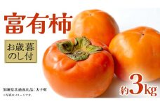 【 お歳暮 熨斗付き 】富有柿 約3kg 【2025年12月上旬発送開始】(茨城県共通返礼品：大子町) 果物 フルーツ 旬 季節限定 期間限定 贈答用 ギフト 贈り物