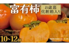 【 お歳暮 化粧箱入り 】富有柿 10～12個 【2025年12月上旬発送開始】(茨城県共通返礼品：大子町) 柿 かき カキ 果物 フルーツ 旬 季節限定 期間限定 贈答用 ギフト 贈り物