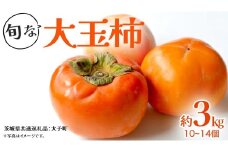 旬な大玉 柿 約3kg 10～14個 【2025年10月上旬発送開始】(茨城県共通返礼品：大子町) 柿 かき カキ 果物 フルーツ 旬 季節限定 期間限定