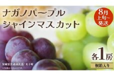 【 桐箱入り 】 ナガノパープル と シャインマスカット (各１房)【2025年8月上旬発送開始】(茨城県共通返礼品：大子町) ぶどう 葡萄 マスカット フルーツ 果物 贈答用 ギフト 贈り物