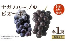 【 桐箱入り 】 ナガノパープル と ピオーネ  (各１房)【2025年8月上旬発送開始】(茨城県共通返礼品：大子町) ぶどう 葡萄 マスカット フルーツ 果物 贈答用 ギフト 贈り物
