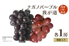 【 桐箱入り 】 ナガノパープル と 我が道  (各１房)【2025年8月上旬発送開始】(茨城県共通返礼品：大子町)  ぶどう 葡萄 フルーツ 果物 贈答用 ギフト 贈り物