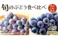 旬な ぶどう 食べ比べ 700g × ２房【2025年8月上旬発送開始】(茨城県共通返礼品：大子町) ぶどう 葡萄 フルーツ 果物 おまかせ お楽しみ