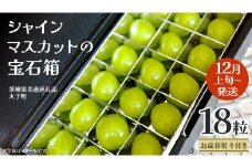 【 お歳暮 熨斗付き 】 シャインマスカット の宝石箱 18粒 【2025年12月上旬発送開始】(茨城県共通返礼品：大子町) ぶどう 葡萄 フルーツ 果物 贈答用 ギフト 贈り物