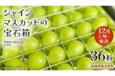 【 お歳暮 熨斗付き 】 シャインマスカット の宝石箱 36粒 【2025年12月上旬発送開始】(茨城県共通返礼品：大子町) ぶどう 葡萄 フルーツ 果物 贈答用 ギフト 贈り物