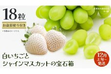 【 お歳暮 熨斗付き 】 白いちご と シャインマスカット の宝石箱 18粒【2025年12月上旬発送開始】(茨城県共通返礼品：大子町) いちご マスカット 果物 フルーツ 旬 季節限定 期間限定 贈答用 ギフト 贈り物