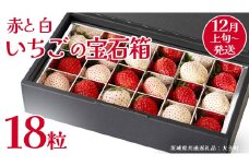 赤いちご と 白いちご の宝石箱18粒【2025年12月上旬発送開始】(茨城県共通返礼品：大子町) いちご 苺 果物 フルーツ 果実