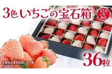 3色いちご の宝石箱36粒【2025年12月上旬発送開始】(茨城県共通返礼品：大子町) いちご 苺 果物 フルーツ 果実