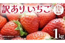 訳あり いちご 1kg【2025年12月上旬発送開始】(茨城県共通返礼品：大子町) 苺 果物 フルーツ 果実 ご家庭用