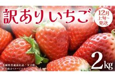 訳あり いちご 2kg【2025年12月上旬発送開始】(茨城県共通返礼品：大子町) 苺 果物 フルーツ 果実 ご家庭用