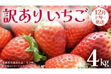 訳あり いちご 4kg【2025年12月上旬発送開始】(茨城県共通返礼品：大子町) 苺 果物 フルーツ 果実 ご家庭用