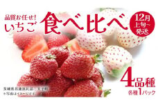 いちごの 食べ比べ 4品種×1パック【2025年12月上旬発送開始】(茨城県共通返礼品：大子町) いちご 苺 果物 フルーツ 果実