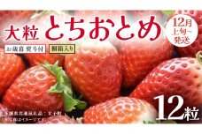 【 お歳暮 熨斗付き 】 桐箱入り 大粒 とちおとめ 12粒【2025年12月上旬発送開始】(茨城県共通返礼品：大子町) いちご 苺 果物 フルーツ 果実 贈答用 ギフト 贈り物