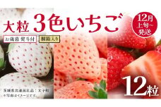 【 お歳暮 熨斗付き 】桐箱入り 大粒 3色いちご 12粒【2025年12月上旬発送開始】(茨城県共通返礼品：大子町) いちご 苺 果物 フルーツ 果実 贈答用 ギフト 贈り物