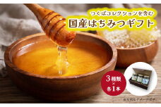 つくばコレクションを含む国産はちみつギフト【 ハチミツ 蜂蜜 ハニー はち蜜 養蜂 茨城県 つくば市 】