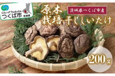 干ししいたけ ( 原木栽培 )【 シイタケ 椎茸 きのこ キノコ 茸 茨城県 つくば市 】＜離島・沖縄配送不可＞