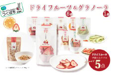 ドライフルーツ&グラノーラセット【 いちご メロン スイカ キウイ りんご トマト 柿 みかん 果物 フルーツ 茨城県 つくば市 】