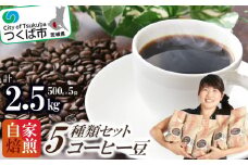 ＜自家焙煎珈琲豆＞コーヒー豆5種類セット 500g×5袋 計2500g【 coffee 飲み比べ  珈琲 コーヒーセット ブレンド お取り寄せ ギフト 茨城県 つくば市 】