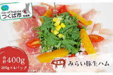 みらい豚 生ハム 400g ＜ 100g × 4パック ＞村下商事【 豚肉 豚 ぶた肉 ポーク 冷凍 茨城県 つくば市 】