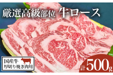 厳選高級部位 牛ロース ( 厚切り焼き肉用 ) 500g【 牛肉 牛 国産 和牛 リブロース 焼肉 BBQ バーベキュー 】
