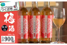 筑波山の梅酒3本セット ( 300ml × 3 )【 梅 ウメ酒 うめ酒 茨城県 つくば市 酒造 高級 】