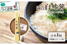 満点 自然薯 約1kg 化粧箱入り ( 1～2本入 )【 とろろ じねんじょ 山芋 茨城県 つくば市 】