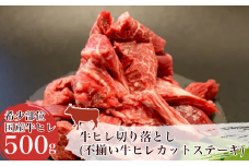 牛ヒレ 切り落とし ( 不揃い牛ヒレカットステーキ )【 牛ヒレ カットステーキ 牛肉 国産 肉 焼肉 BBQ  ステーキ 贅沢 茨城県 つくば市 】
